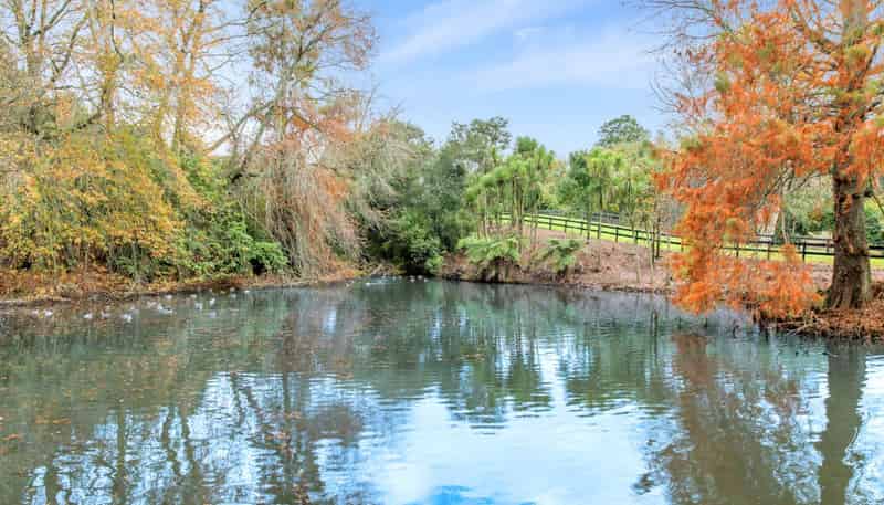  Woodlyn Drive, Karaka