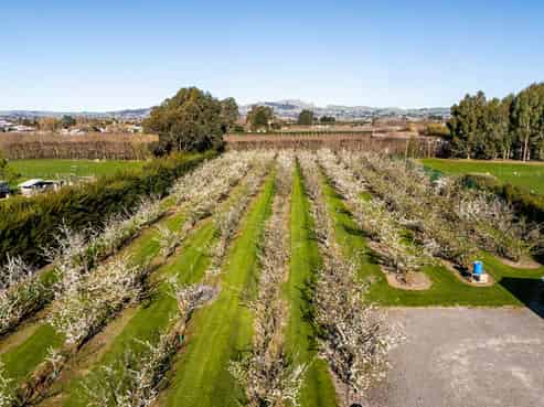 934 Riverslea Road South, Longlands