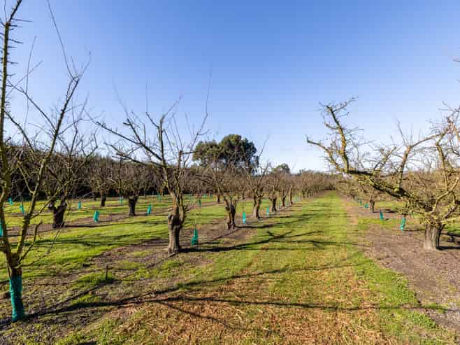 934 Riverslea Road South, Longlands