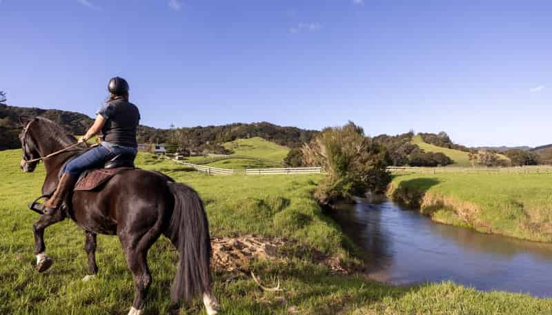 719 Waikare Road, Kawakawa