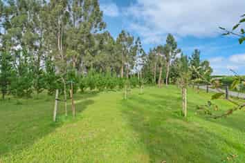 31 Tramway Road, KIRWEE