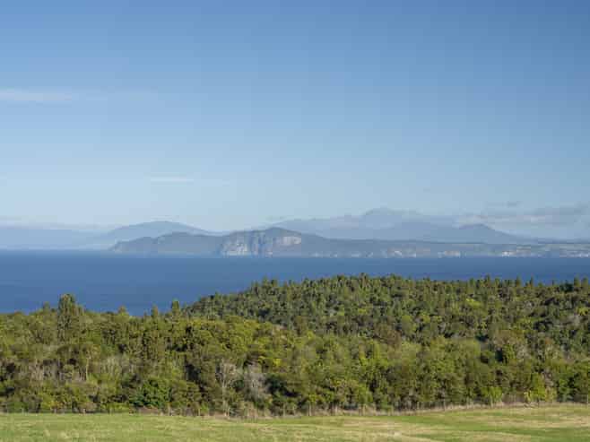 1679 Whangamata Road, Marotiri