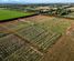 831 Downs Road, West Eyreton, Waimakariri, Canterbury