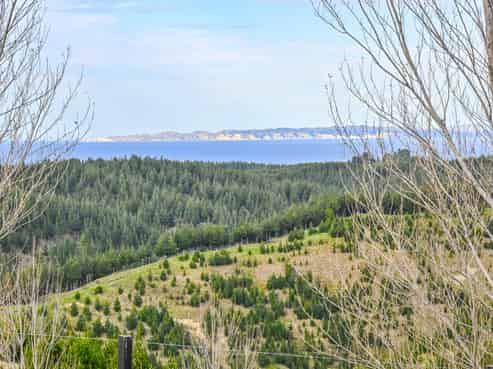 438 Aropaoanui Road, Tangoio