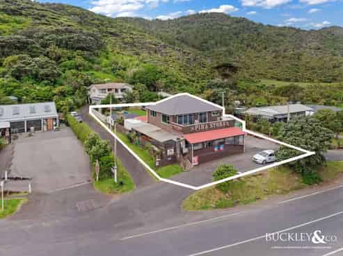 26 Seaview Road, Piha