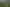 Otago - Address withheld