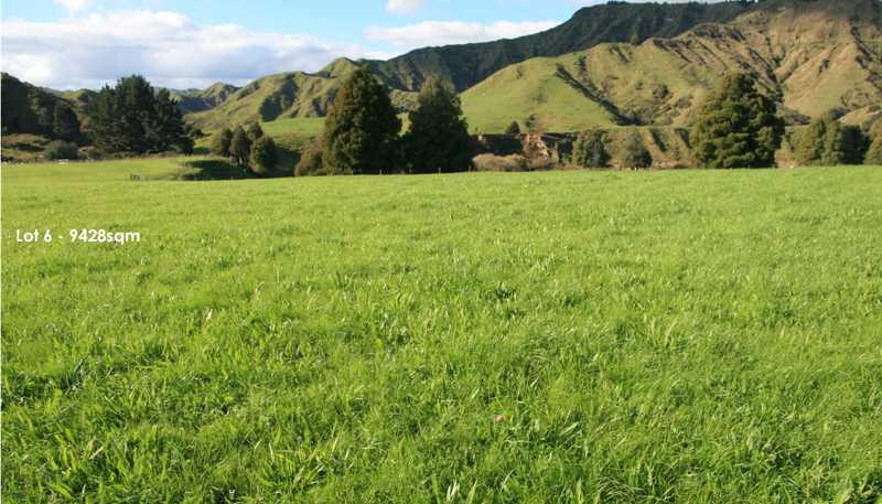 632 Mangaotuku Road, Tututawa