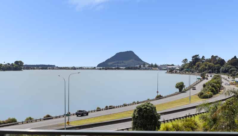 5/115 Fourth Avenue, Tauranga Central