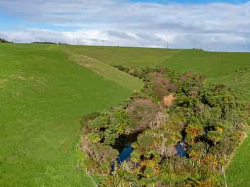 119 Te Papatapu Road, Raglan