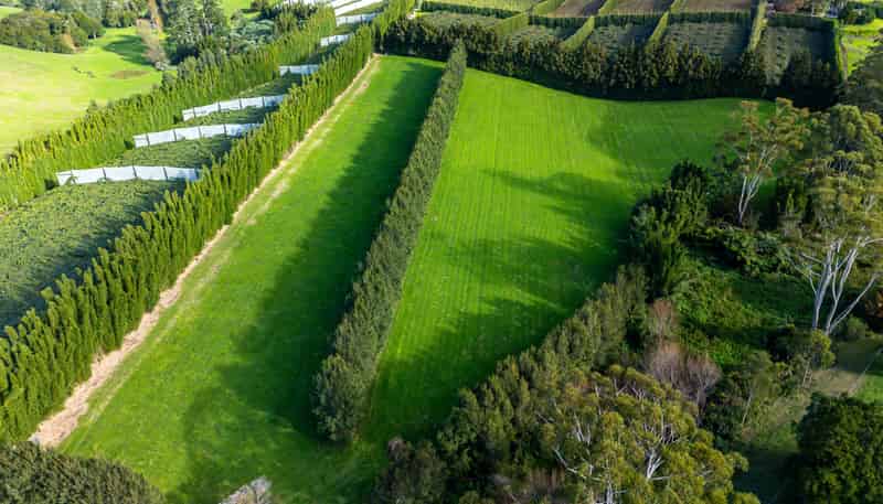 8 & 2/75 Riddell Road, Kerikeri