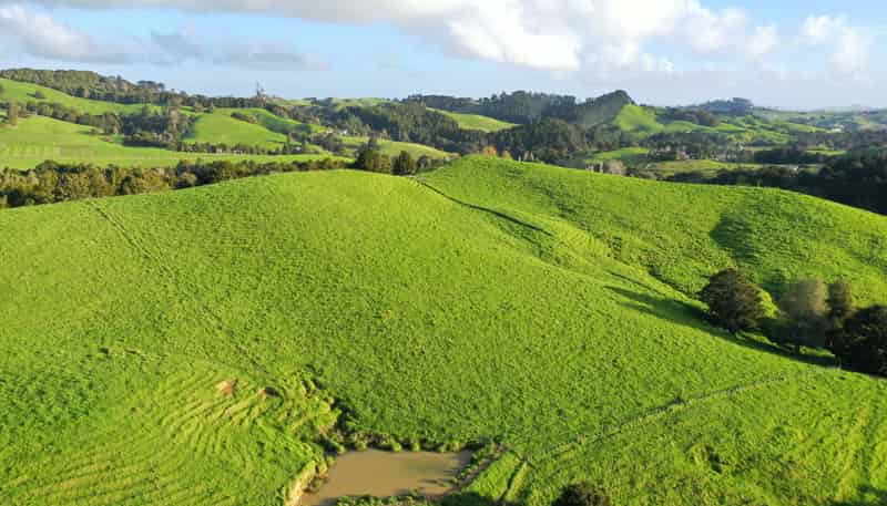 34 Wairere Valley Road, Paparoa