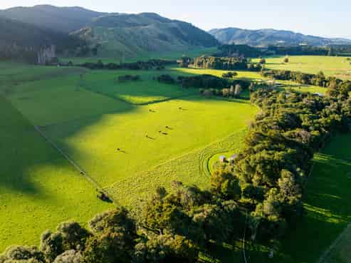 194D Underhill Road, Greytown