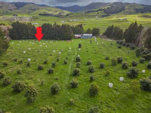 548B Waihi Whangamata Road, Waihi