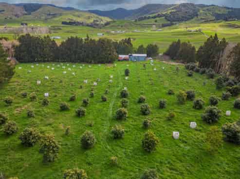 548B Waihi Whangamata Road, Waihi