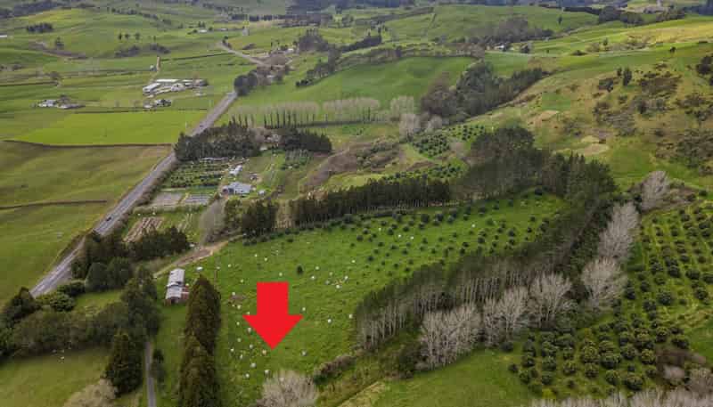 548B Waihi Whangamata Road, Waihi