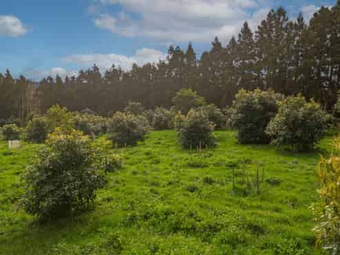 548B Waihi Whangamata Road, Waihi