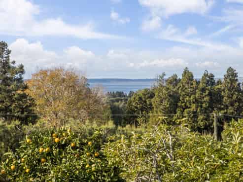 270 Wharawhara Road, Katikati