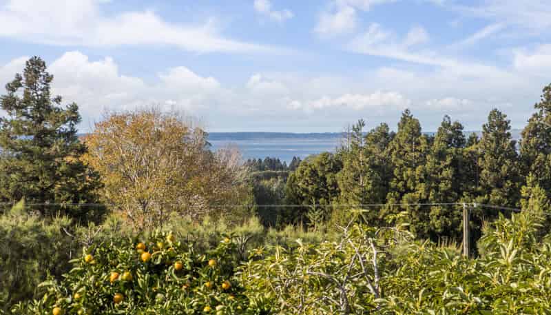 270 Wharawhara Road, Katikati