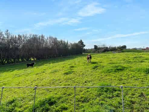 101 Forest Lakes Road, Otaki