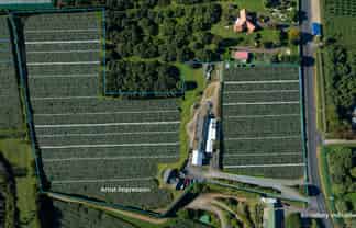 107 Ongare Point Road, Katikati