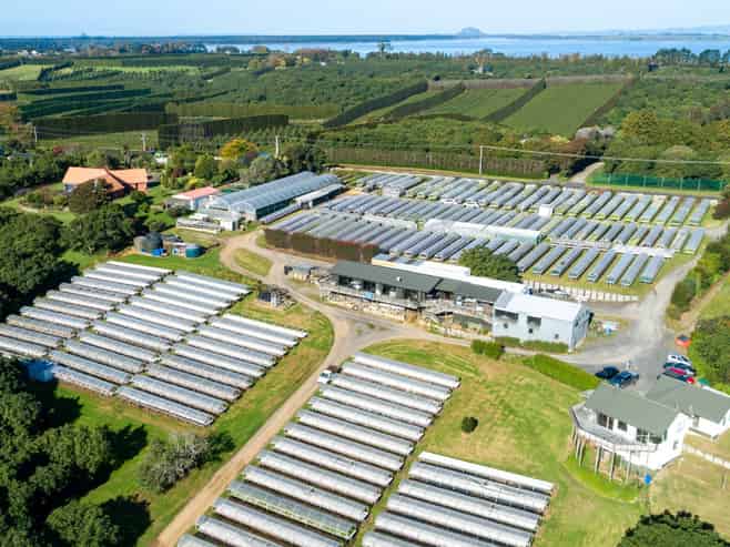 107 Ongare Point Road, Katikati
