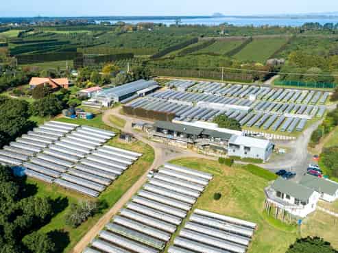 107 Ongare Point Road, Katikati