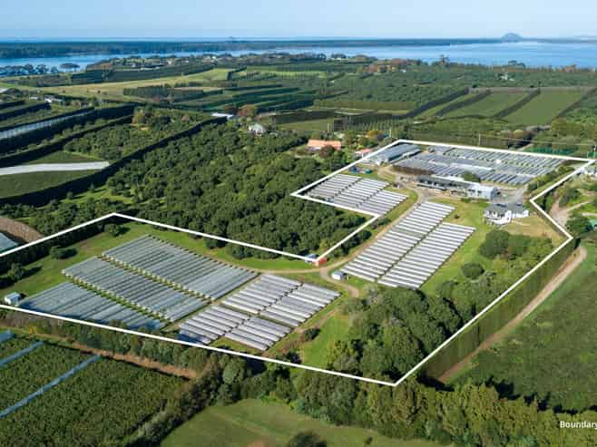 107 Ongare Point Road, Katikati