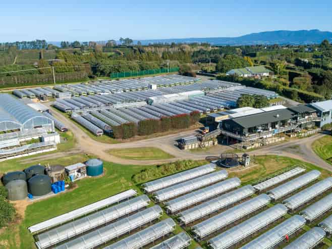 107 Ongare Point Road, Katikati