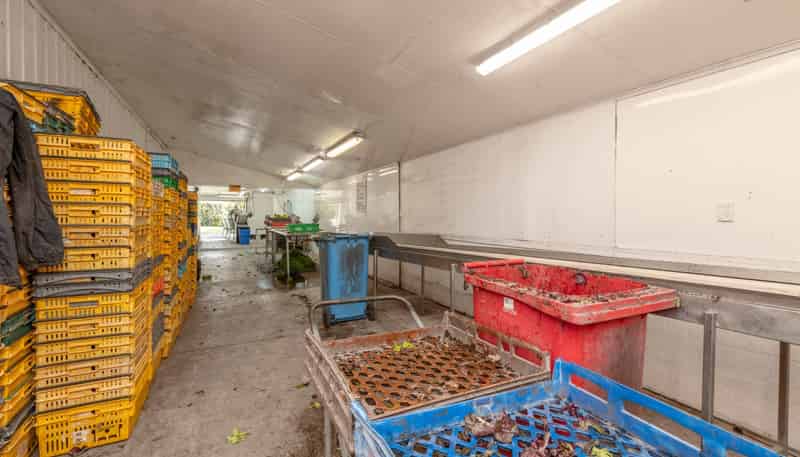 107 Ongare Point Road, Katikati
