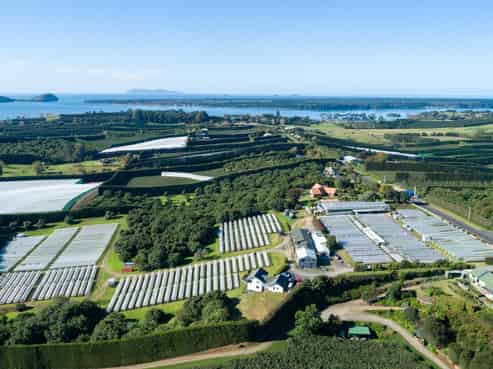 107 Ongare Point Road, Katikati