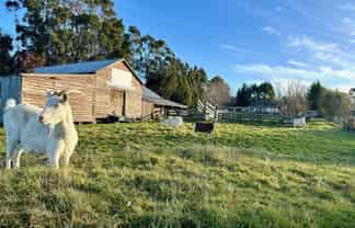 520 Milton Highway, Balclutha