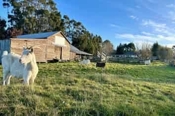 520 Milton Highway, Balclutha