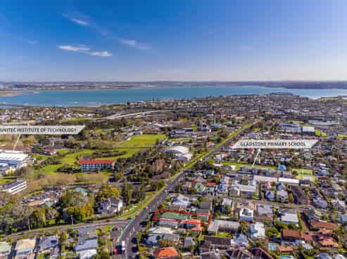 172 Carrington Road, Mount Albert
