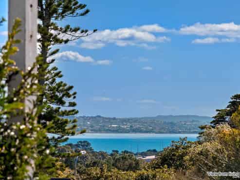 172 Carrington Road, Mount Albert
