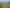 800 Makino Road, Feilding