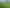 800 Makino Road, Feilding