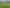 800 Makino Road, Feilding