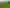 800 Makino Road, Feilding