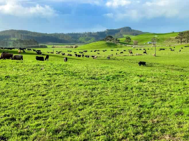 392 and 42 Journeys End, Tapora