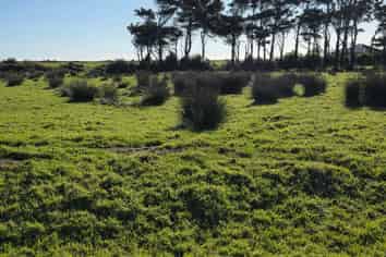 Lot 4/ State Highway, Arahura Valley