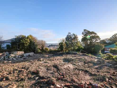 43 Arawa Street, Tainui