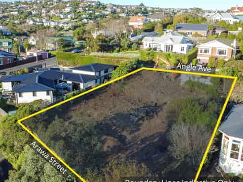 43 Arawa Street, Tainui