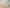 25C  Lomond Street, Takapuna