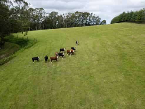 53 Horse Gully Road, Oamaru
