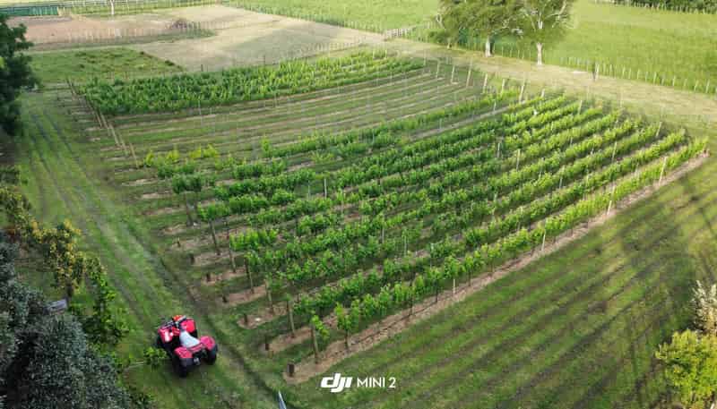 177 Taupaki Road, Taupaki