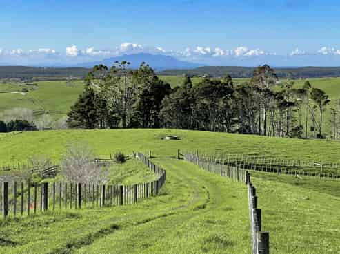140 Te Arai Point Road, Te Arai