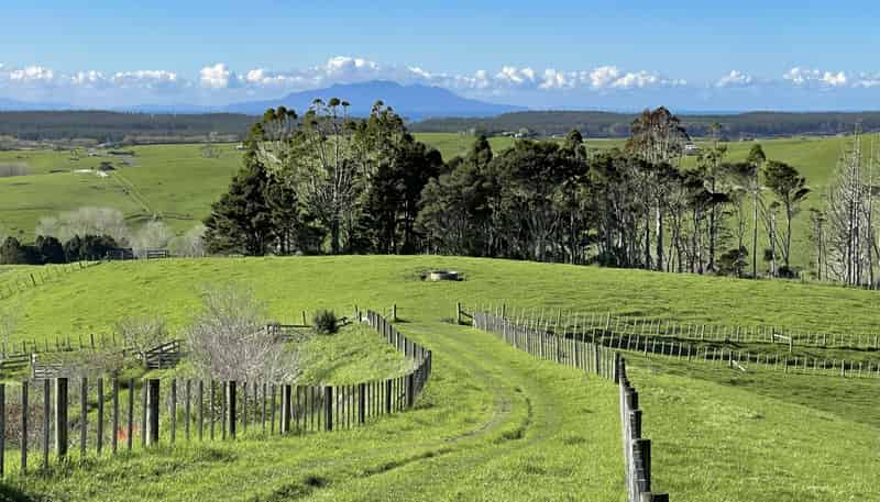 140 Te Arai Point Road, Te Arai