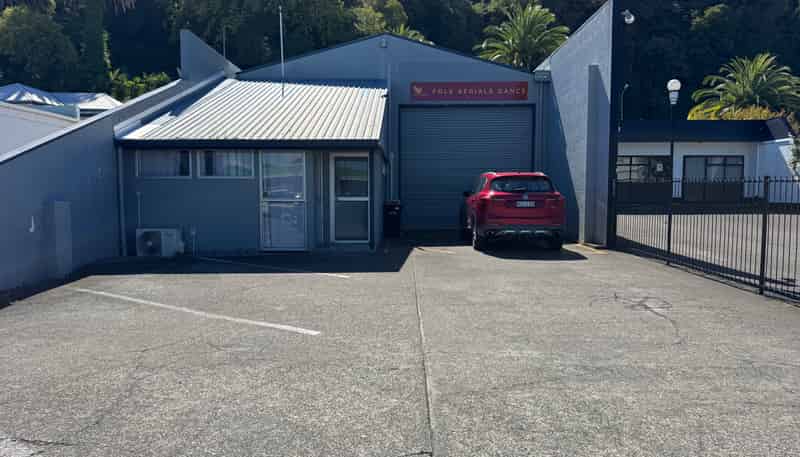 25 Carlyle Street, Napier South