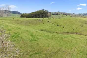 00 Pukerimu Road, Waitomo