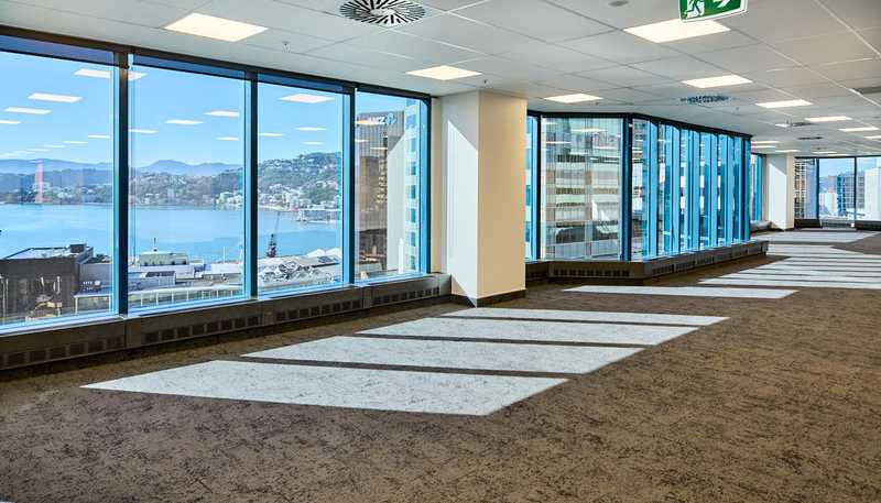  Level 17, 125 The Terrace, Wellington Central